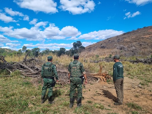 Ao todo, foram embargados quase 3 mil hectares. Área fiscalizada foi 280% maior do que a do ano passado