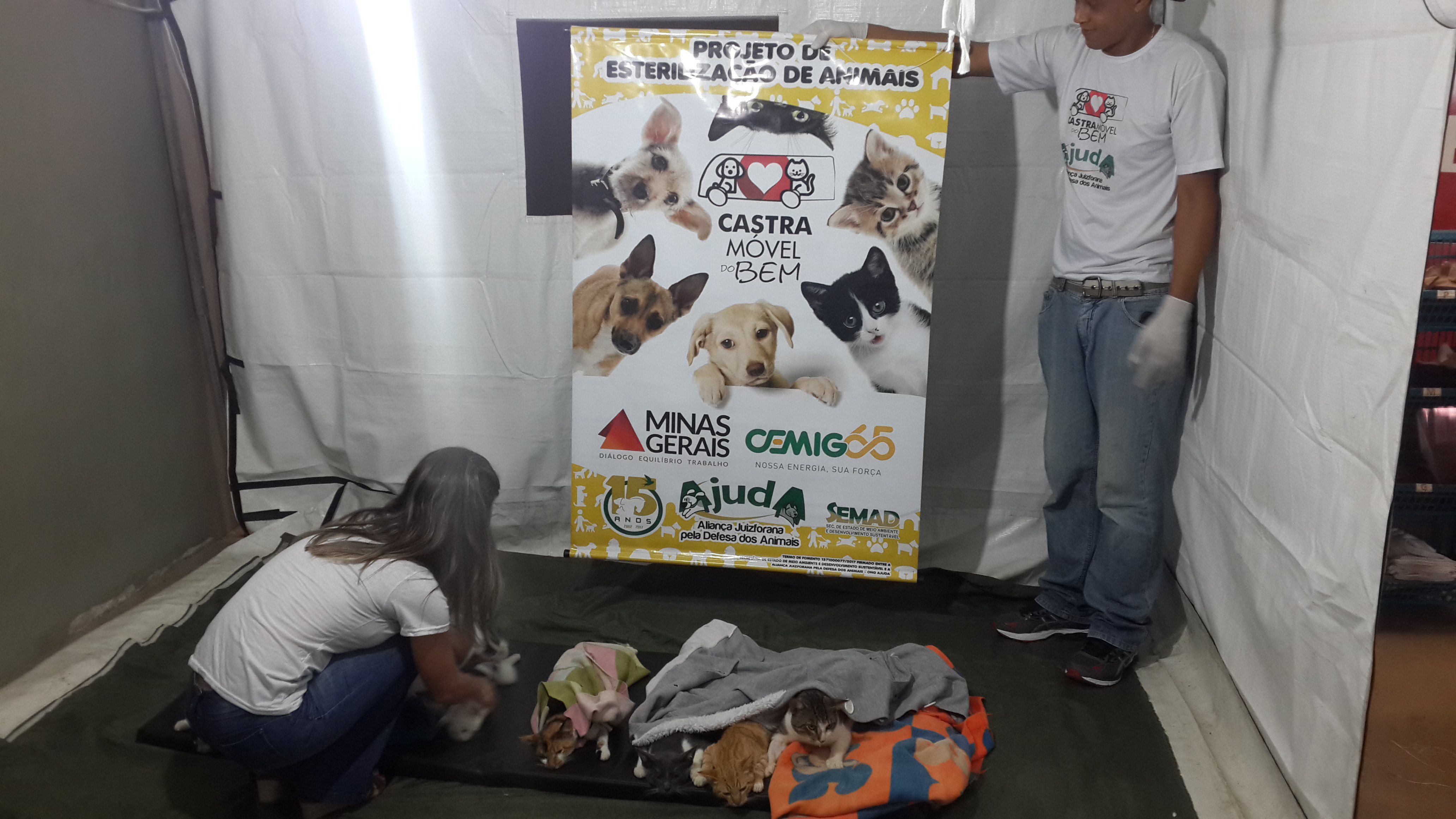 Foto_01-_Área_de_descanso_dos_animais_pós-cirurgia